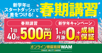 オンライン家庭教師WAM