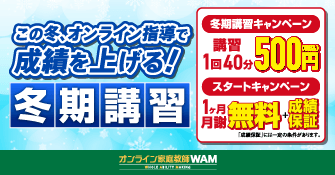 オンライン家庭教師WAM