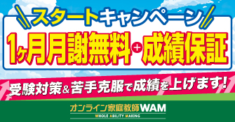 オンライン家庭教師WAM